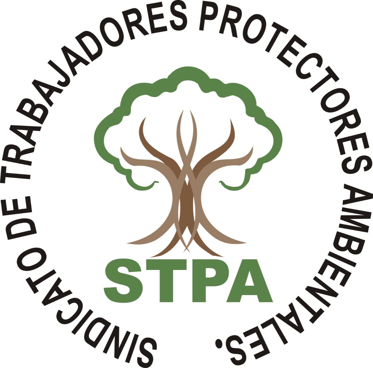 stpaambiente.org